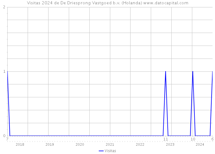 Visitas 2024 de De Driesprong Vastgoed b.v. (Holanda) 