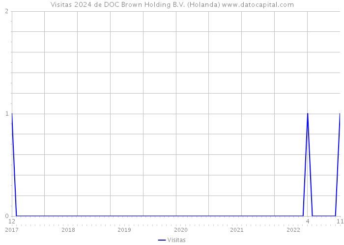 Visitas 2024 de DOC Brown Holding B.V. (Holanda) 