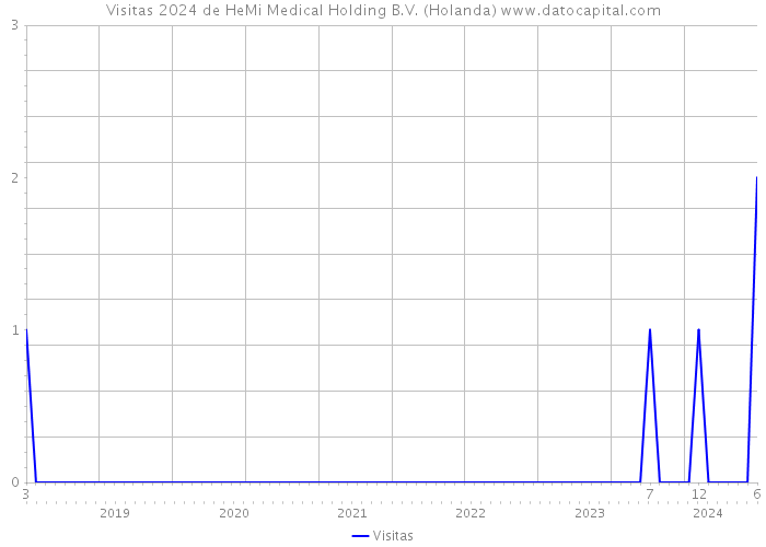 Visitas 2024 de HeMi Medical Holding B.V. (Holanda) 
