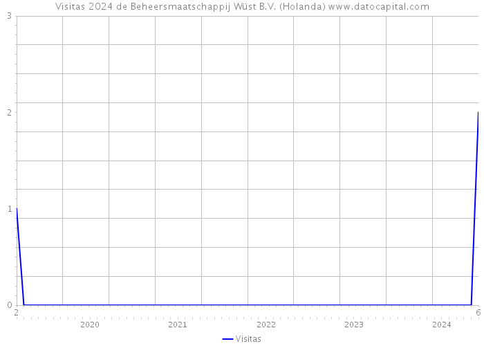 Visitas 2024 de Beheersmaatschappij Wüst B.V. (Holanda) 