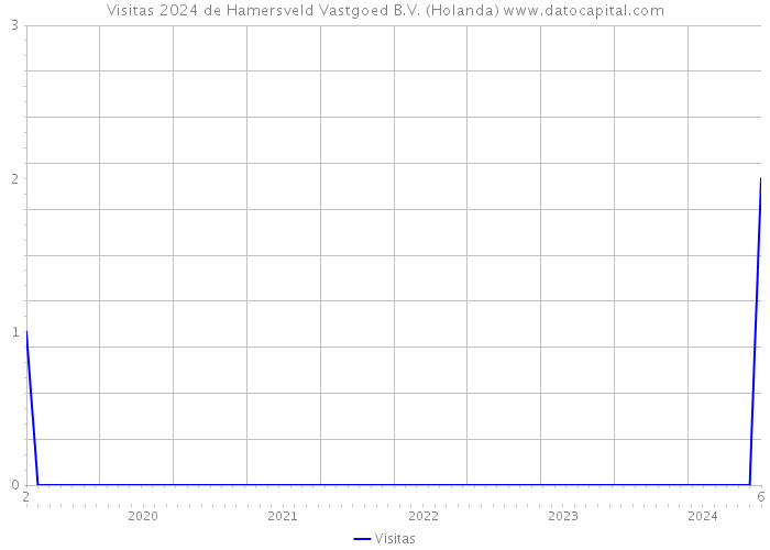 Visitas 2024 de Hamersveld Vastgoed B.V. (Holanda) 