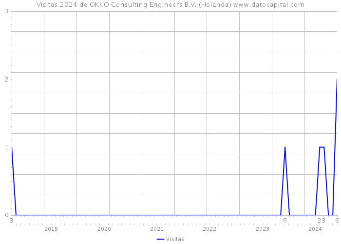 Visitas 2024 de OKKO Consulting Engineers B.V. (Holanda) 