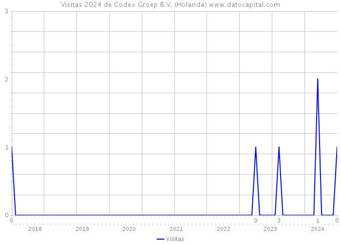 Visitas 2024 de Codex Groep B.V. (Holanda) 