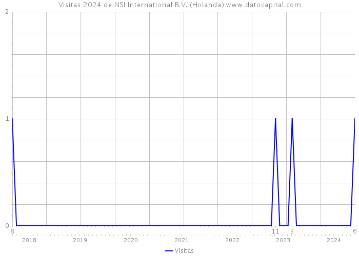 Visitas 2024 de NSI International B.V. (Holanda) 