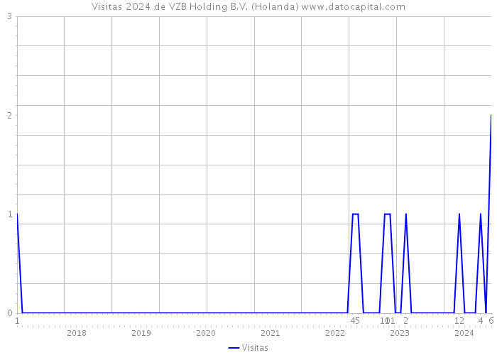 Visitas 2024 de VZB Holding B.V. (Holanda) 