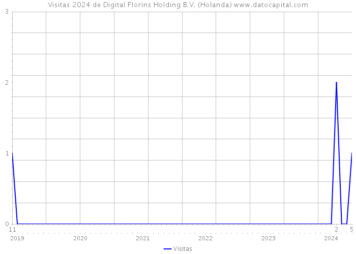 Visitas 2024 de Digital Florins Holding B.V. (Holanda) 