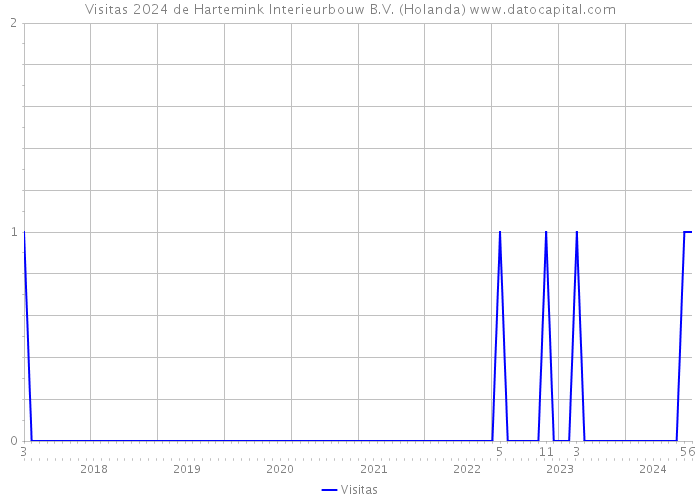 Visitas 2024 de Hartemink Interieurbouw B.V. (Holanda) 