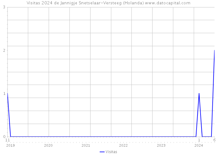 Visitas 2024 de Jannigje Snetselaar-Versteeg (Holanda) 