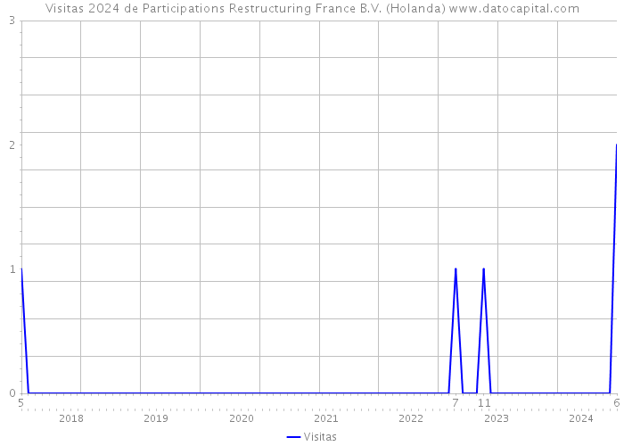 Visitas 2024 de Participations Restructuring France B.V. (Holanda) 