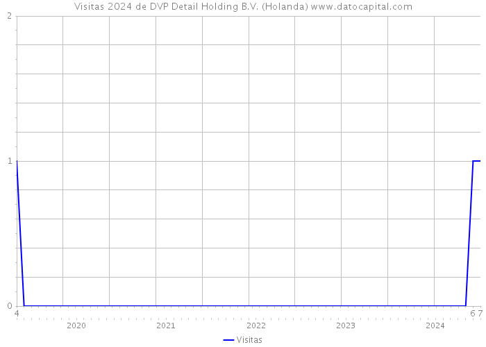 Visitas 2024 de DVP Detail Holding B.V. (Holanda) 