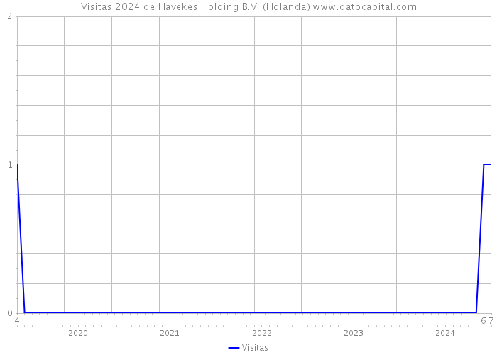 Visitas 2024 de Havekes Holding B.V. (Holanda) 