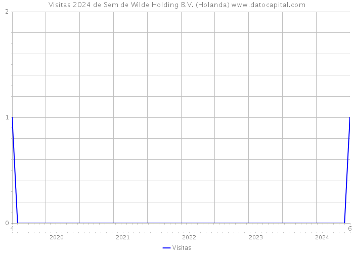 Visitas 2024 de Sem de Wilde Holding B.V. (Holanda) 