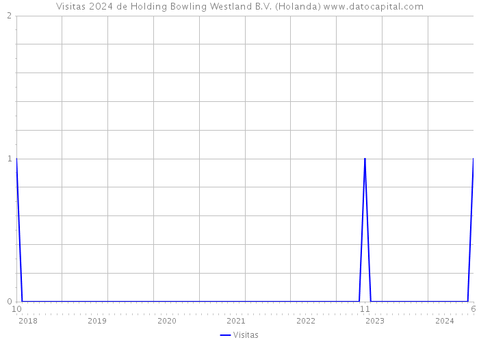 Visitas 2024 de Holding Bowling Westland B.V. (Holanda) 