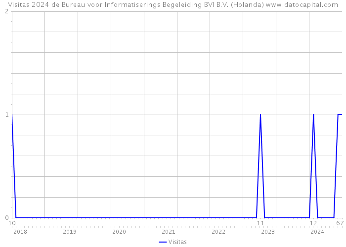 Visitas 2024 de Bureau voor Informatiserings Begeleiding BVI B.V. (Holanda) 
