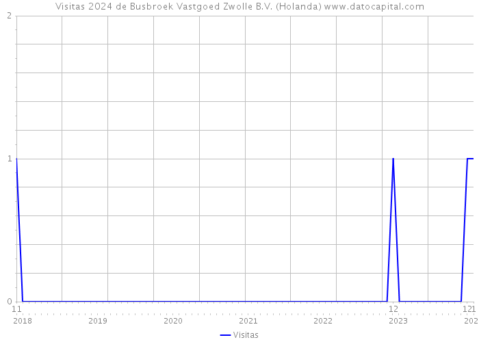 Visitas 2024 de Busbroek Vastgoed Zwolle B.V. (Holanda) 