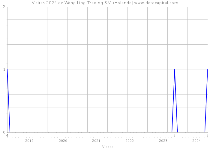 Visitas 2024 de Wang Ling Trading B.V. (Holanda) 