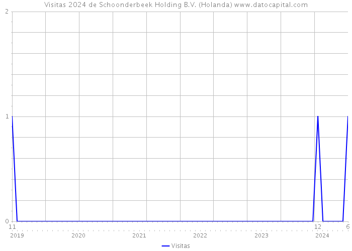 Visitas 2024 de Schoonderbeek Holding B.V. (Holanda) 