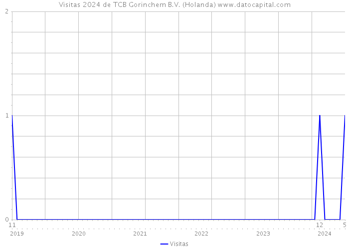 Visitas 2024 de TCB Gorinchem B.V. (Holanda) 