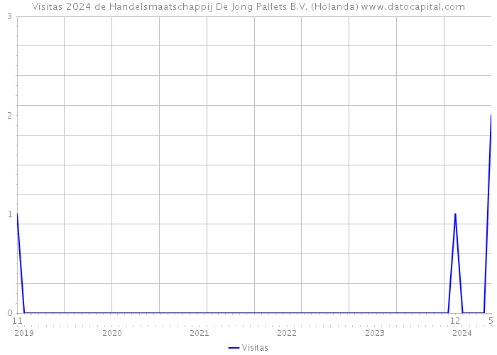 Visitas 2024 de Handelsmaatschappij De Jong Pallets B.V. (Holanda) 