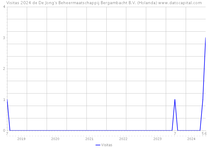 Visitas 2024 de De Jong's Beheermaatschappij Bergambacht B.V. (Holanda) 
