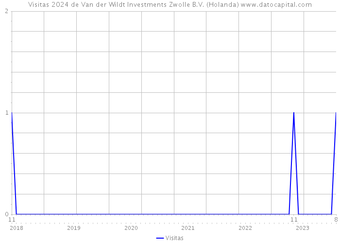 Visitas 2024 de Van der Wildt Investments Zwolle B.V. (Holanda) 