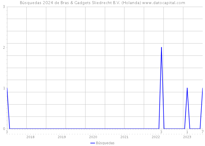 Búsquedas 2024 de Bras & Gadgets Sliedrecht B.V. (Holanda) 