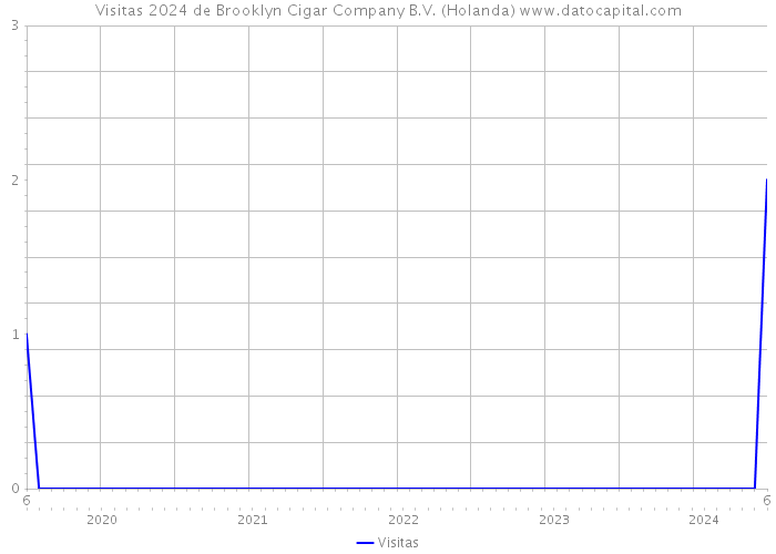 Visitas 2024 de Brooklyn Cigar Company B.V. (Holanda) 