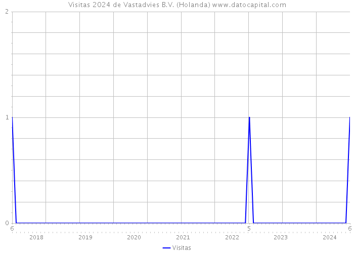 Visitas 2024 de Vastadvies B.V. (Holanda) 