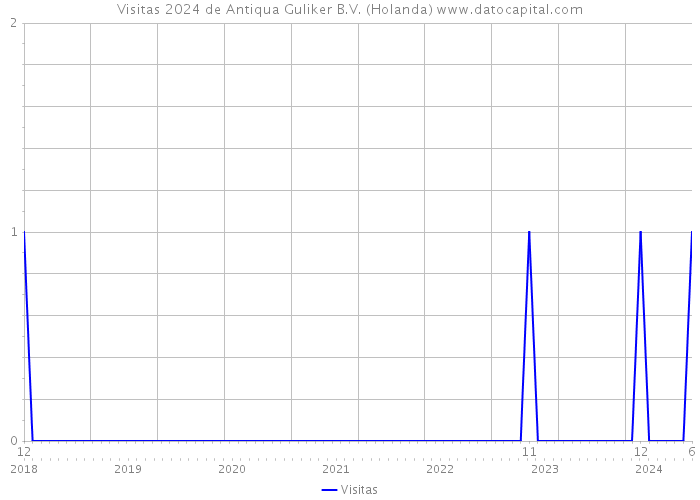 Visitas 2024 de Antiqua Guliker B.V. (Holanda) 