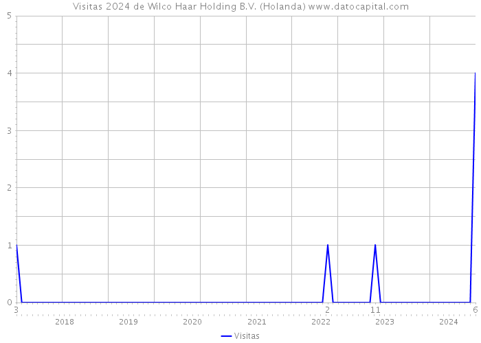 Visitas 2024 de Wilco Haar Holding B.V. (Holanda) 