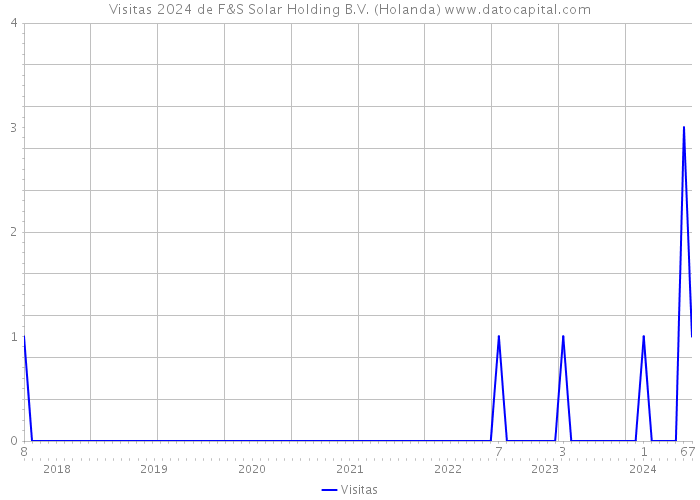 Visitas 2024 de F&S Solar Holding B.V. (Holanda) 