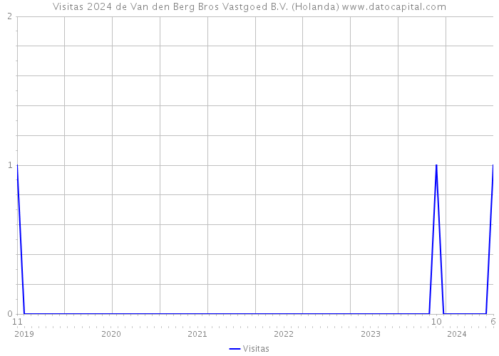 Visitas 2024 de Van den Berg Bros Vastgoed B.V. (Holanda) 