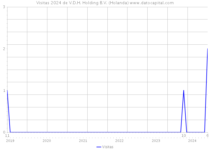 Visitas 2024 de V.D.H. Holding B.V. (Holanda) 