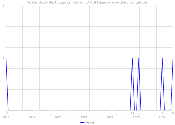 Visitas 2024 de Actuarieel Consult B.V. (Holanda) 