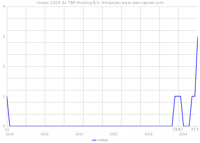 Visitas 2024 de T&P Holding B.V. (Holanda) 