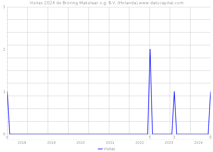 Visitas 2024 de Bröring Makelaar o.g. B.V. (Holanda) 