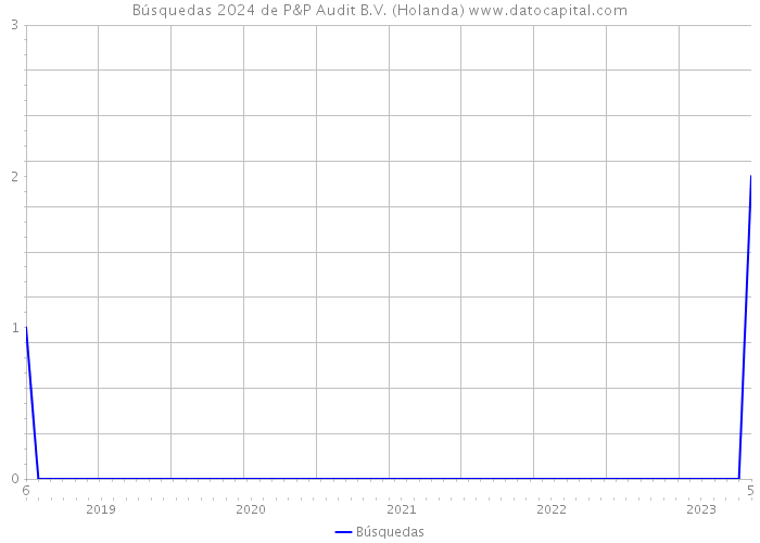 Búsquedas 2024 de P&P Audit B.V. (Holanda) 