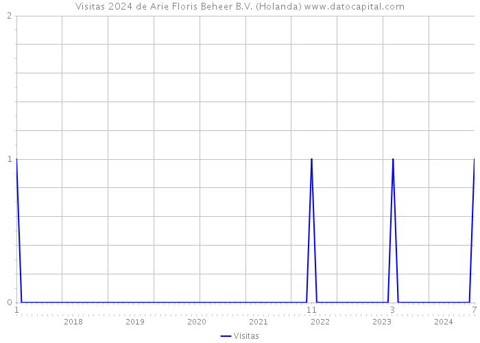 Visitas 2024 de Arie Floris Beheer B.V. (Holanda) 