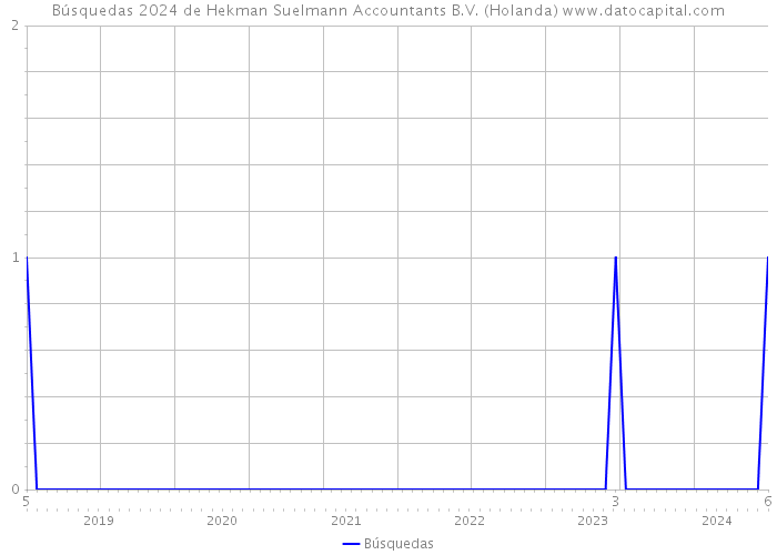 Búsquedas 2024 de Hekman Suelmann Accountants B.V. (Holanda) 