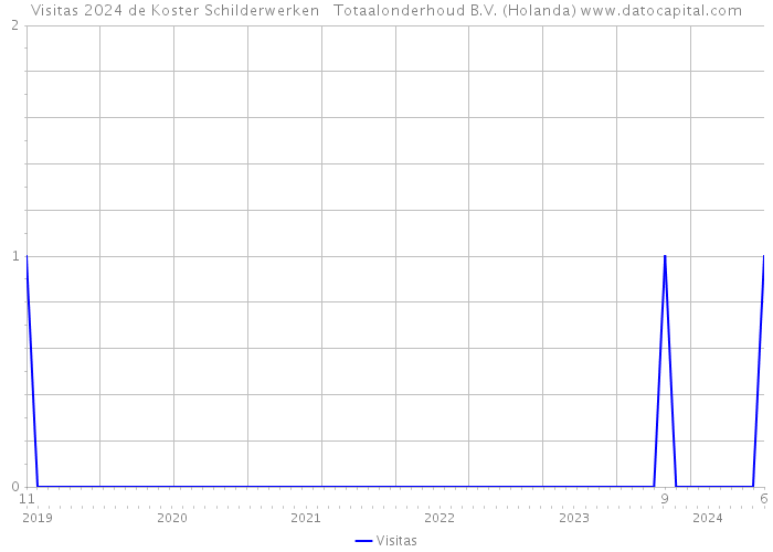 Visitas 2024 de Koster Schilderwerken + Totaalonderhoud B.V. (Holanda) 