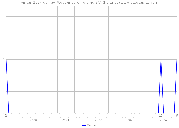 Visitas 2024 de Havi Woudenberg Holding B.V. (Holanda) 