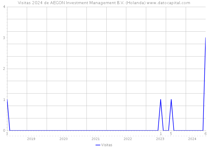 Visitas 2024 de AEGON Investment Management B.V. (Holanda) 