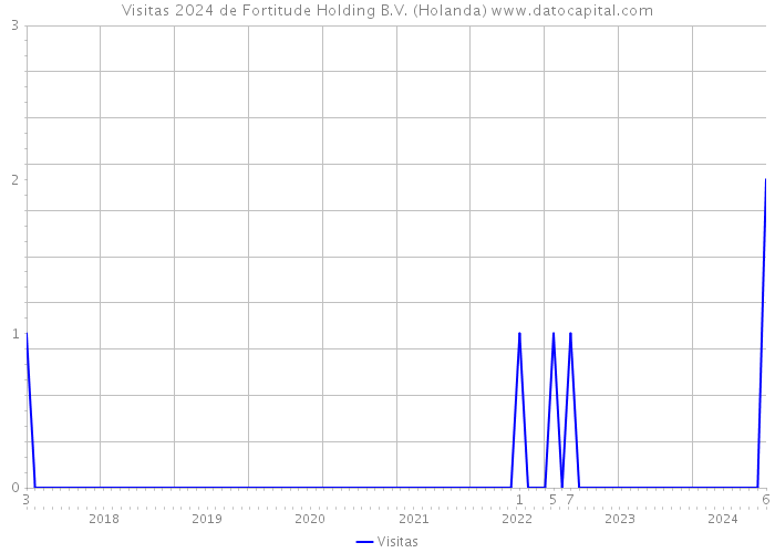 Visitas 2024 de Fortitude Holding B.V. (Holanda) 