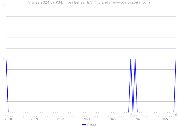 Visitas 2024 de P.M. Trost Beheer B.V. (Holanda) 