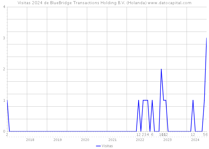 Visitas 2024 de BlueBridge Transactions Holding B.V. (Holanda) 