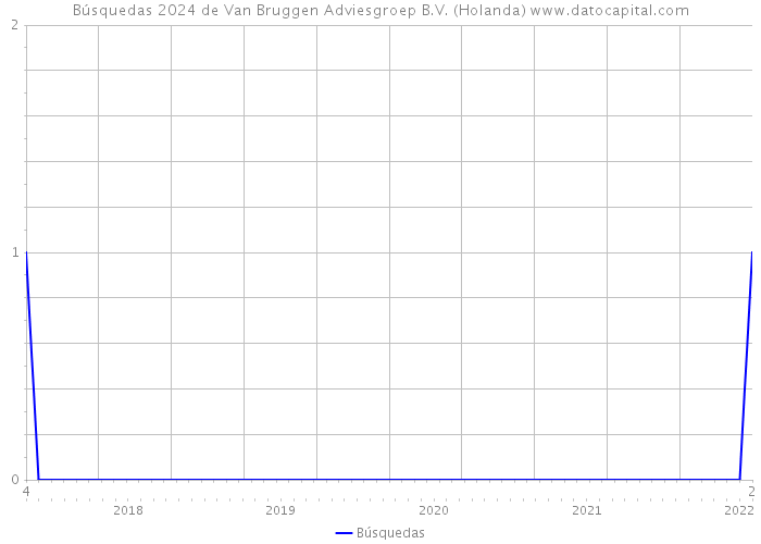 Búsquedas 2024 de Van Bruggen Adviesgroep B.V. (Holanda) 