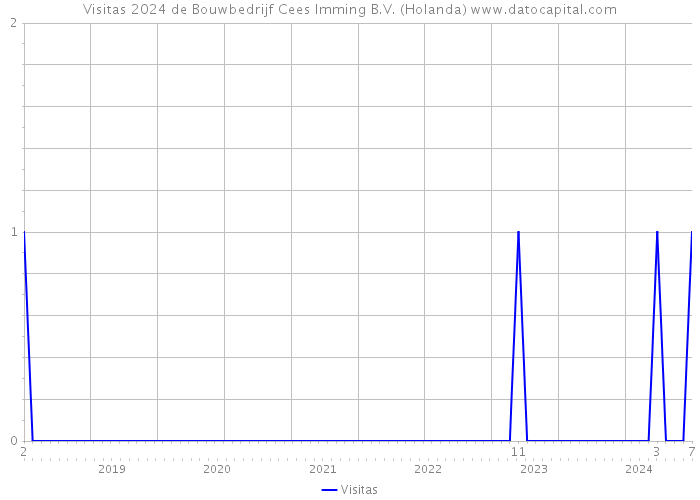 Visitas 2024 de Bouwbedrijf Cees Imming B.V. (Holanda) 