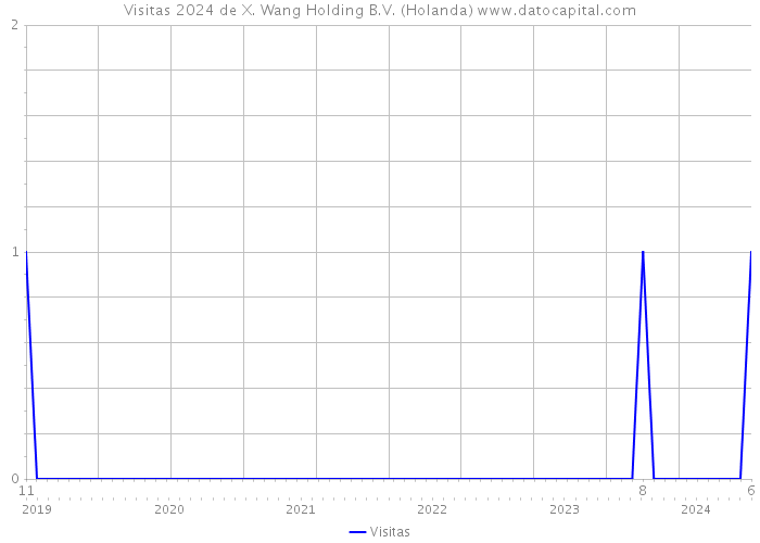 Visitas 2024 de X. Wang Holding B.V. (Holanda) 