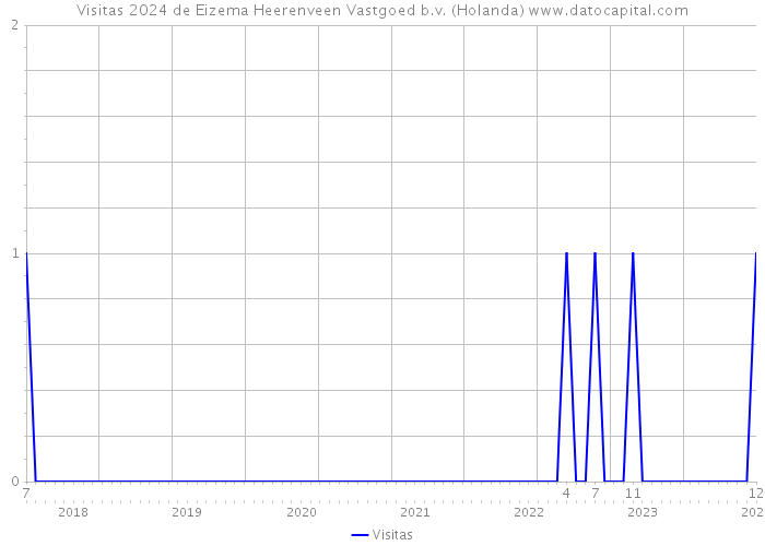 Visitas 2024 de Eizema Heerenveen Vastgoed b.v. (Holanda) 