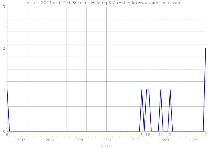 Visitas 2024 de L.G.M. Sneujink Holding B.V. (Holanda) 